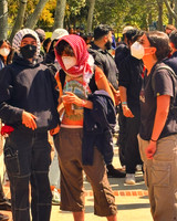 UCLA Hamas Protest 2024