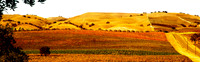 California Central Coast - October 2013