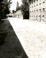 Auschwitz and Warsaw 2019