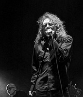 Robert Plant