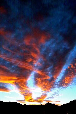 Joshua Tree, California